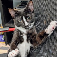 Photo of Lulu