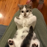 Photo of Emergency Exit