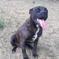 Photo of Mooks