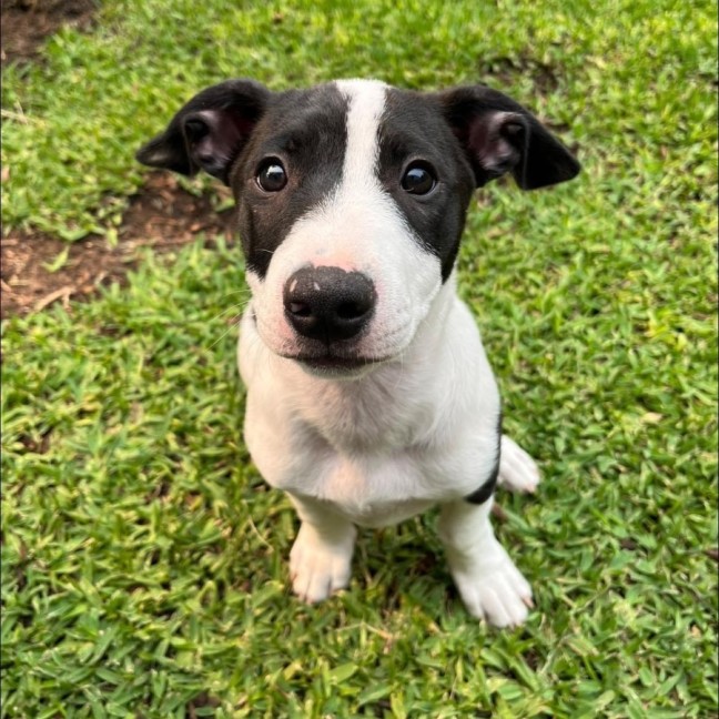 Photo of Venus & Mercury