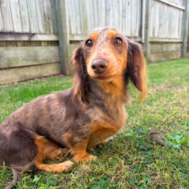 Photo of Oakleigh
