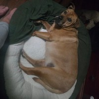 Photo of Sandy