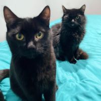 Photo of Frankie & Billie