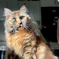 Photo of Agatha