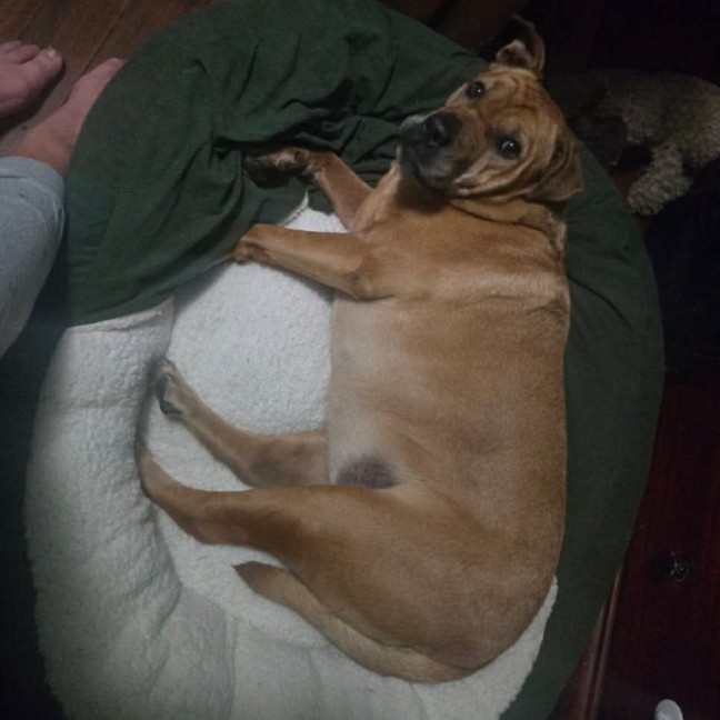 Photo of Sandy