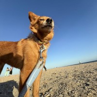 Photo of Lucille