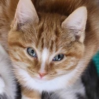 Photo of 👋 Kenneth 6074 👋