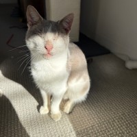Photo of Jelly Bean