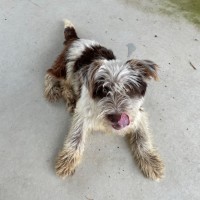 Photo of Bentley