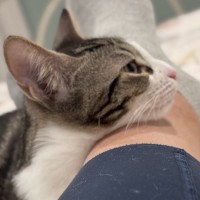 Photo of Bella