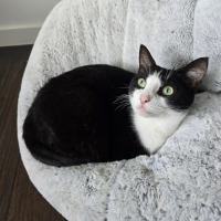 Photo of Whitney
