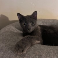 Photo of Maverick 