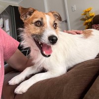 Photo of Skye