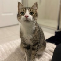 Photo of Willow 