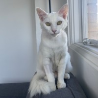 Photo of Dairy Queen