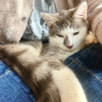 Photo of Jax