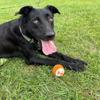 Photo of Sookie