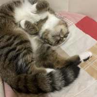 Photo of * Merriweather *