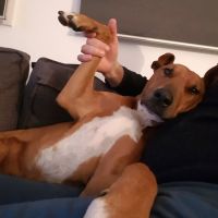 Photo of Lilly