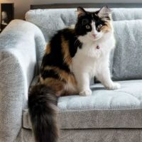 Photo of Roxy