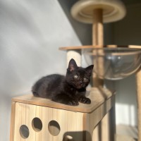 Photo of Ember ❤️‍🔥