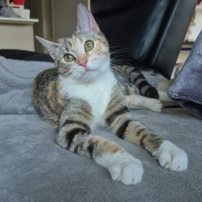 Photo of Matilda