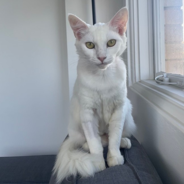 Photo of Dairy Queen