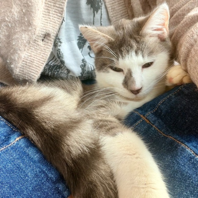 Photo of Jax