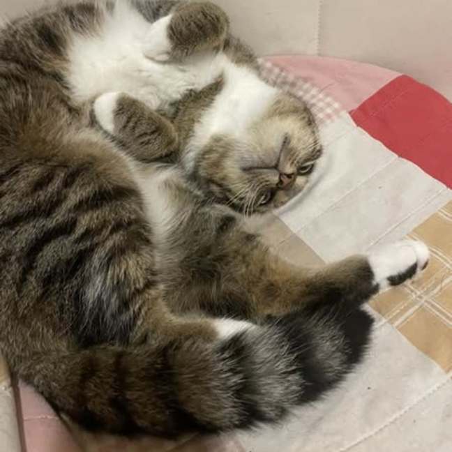 Photo of * Merriweather *