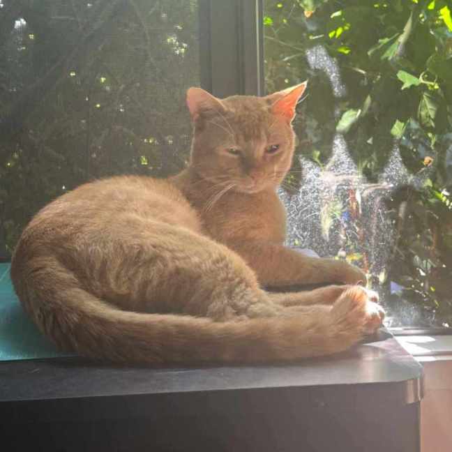 Photo of Prince Harry