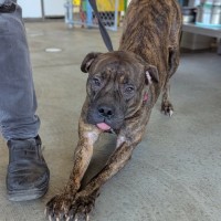 Photo of Winnie