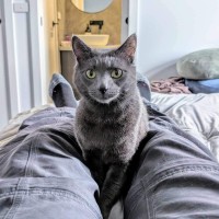 Photo of 🩶Shoto!🩶