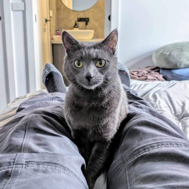 Photo of 🩶Shoto!🩶