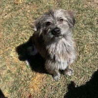 Photo of Posie