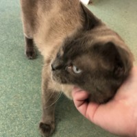 Photo of Harold 😎💙