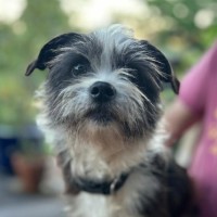 Photo of Toots