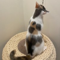 Photo of Margie 🌸🌸🌸