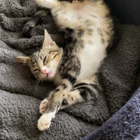 Photo of Mac & Marlow