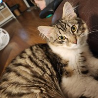 Photo of Karlos
