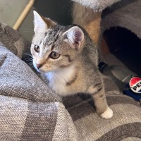 Photo of Sophie 😻