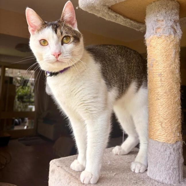 Photo of Frankie