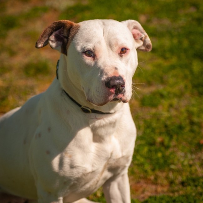 Photo of Lola