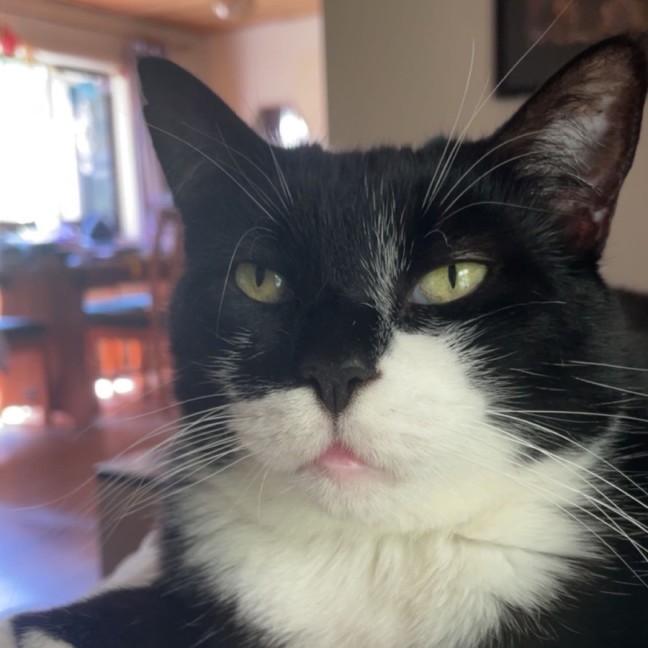Photo of Meg