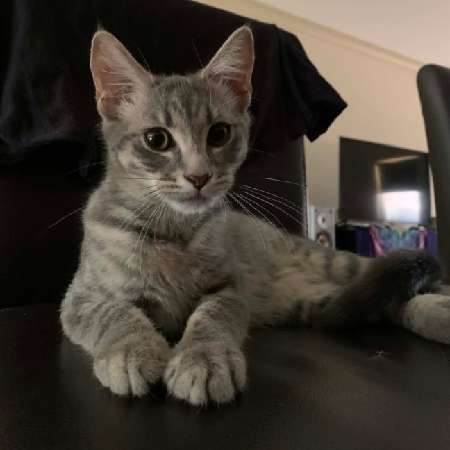 Photo of Zoe 