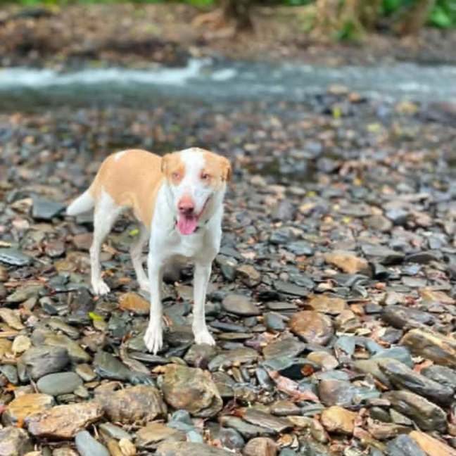 Photo of Sandy