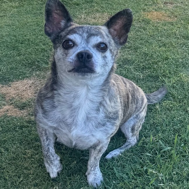 Photo of Pablo 