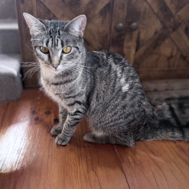 Photo of Sully 🌹🌹🌹