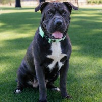 Photo of Athena 