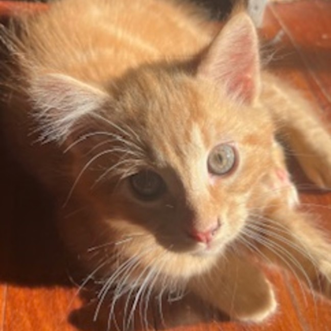 Photo of Artie