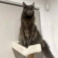 Photo of 💙 Blu 💙